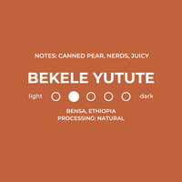 Bekele Yutute