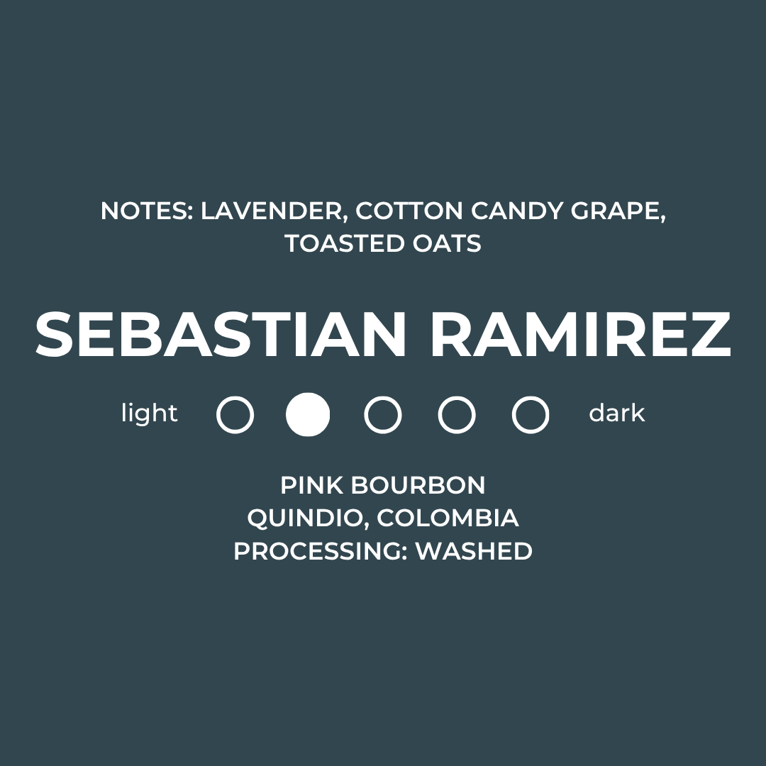 Sebastian Ramirez - Pink Bourbon