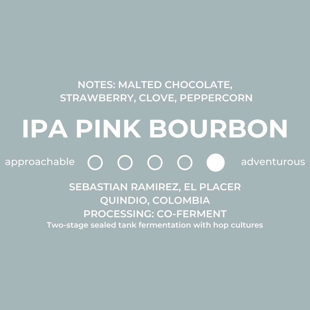IPA Pink Bourbon